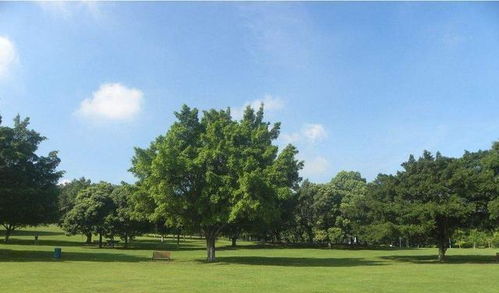 苏州植物园位于苏州市区，具体位置在哪里呢