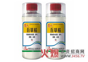 单独使用，还是一起上？