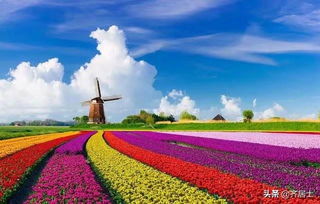 火炬养护后的颜色变化之谜