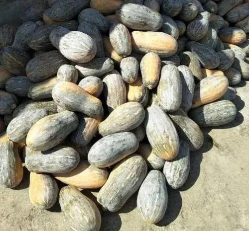南瓜滞销，种植户面临销售难题