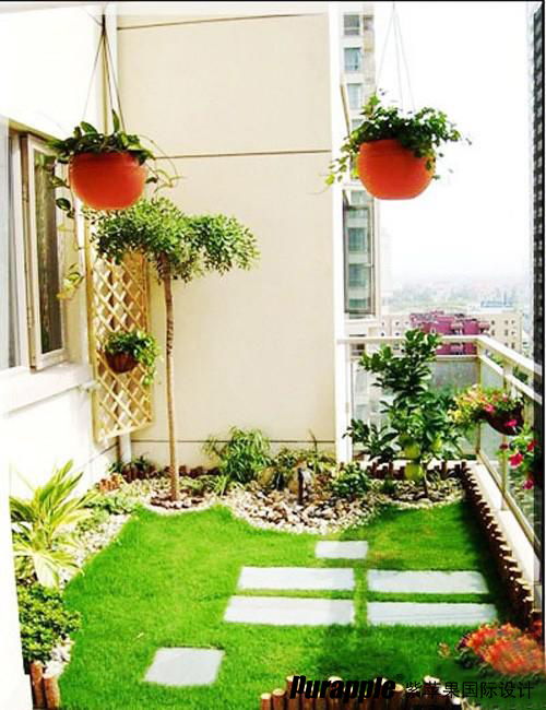 紫绒鼠尾草：紫红色花朵， 适应性强