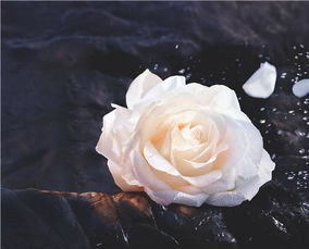 花起密引起的皮肤问题，我也有过这样的困扰！