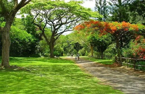 为什么园林中植物会彼此相克，为什么不Neng种在一起呢？