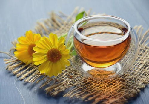菊花茶哪种效果最好？行内人推荐这几种给你