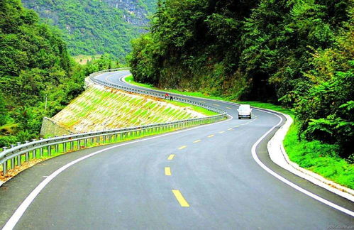 广西高速公路上的花儿们