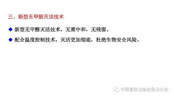 赖志博士：非瘟防控与净化