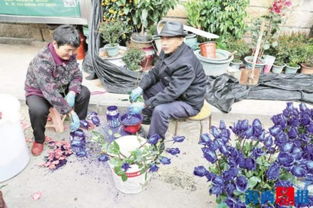 土壤：透气性好的土壤