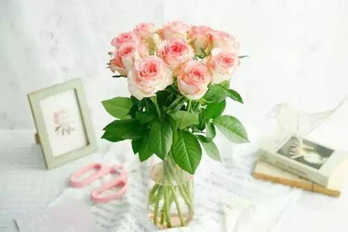 一、 花材的差异