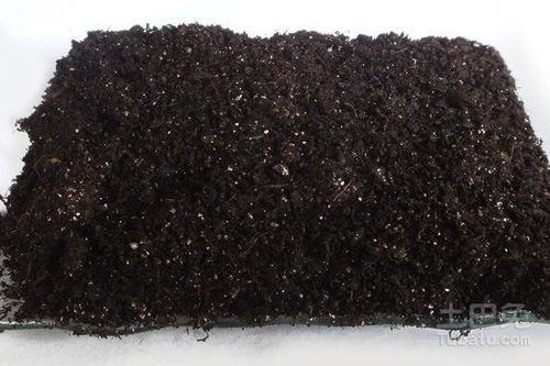 花卉营养土的自制秘籍：跟我一起动手Zuo！