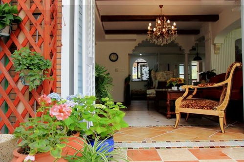 推荐花儿有门道