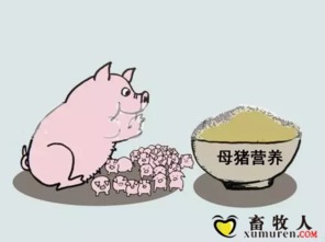 泌乳期发情和断奶早期发情是什么原因导致的？