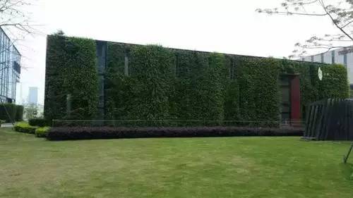 城市发展与生态需求的冲突