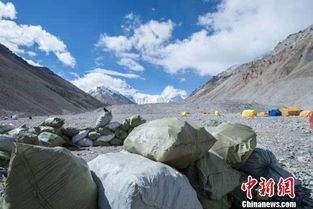 那些果树， 咱们得好好挑一挑