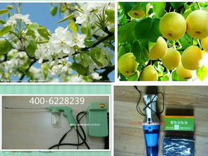 杀虫剂对授粉有影响吗？