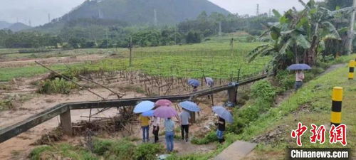 韶关市的试验：