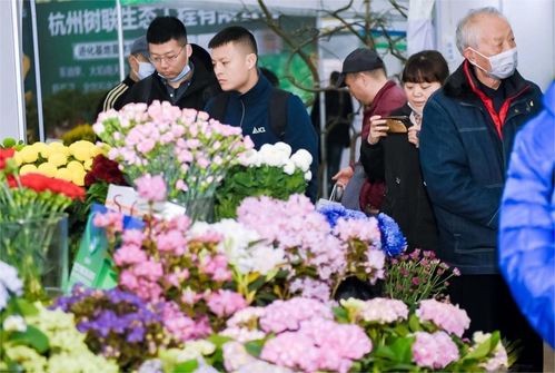 花木节盛宴即将开启