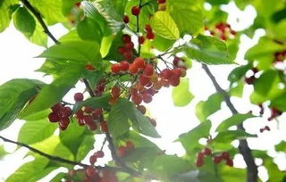 温度、时间，怎么选？