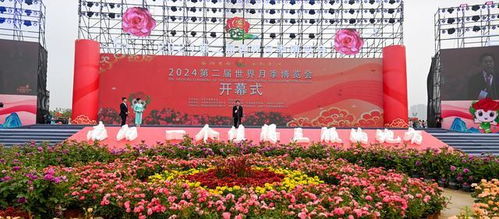 第二届世界月季博览会南阳开幕，月季花品种多到堪花眼！