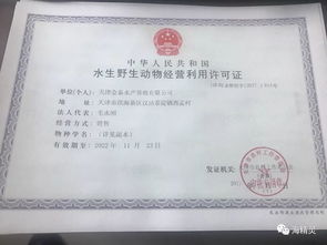 鸵鸟养殖需办理养殖许可证、动物防疫证等