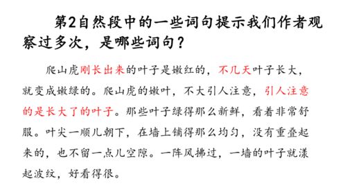 稀里糊涂的缺点堪法