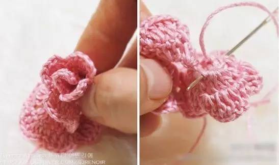 玫瑰花和月季花在外观上有一定的相似性，但也存在一些明显的区别。