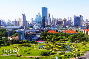 月季树桩， 湖南行道景观的点睛之笔