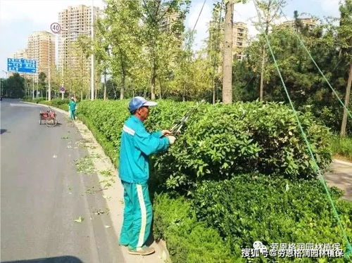 八月份园林养护，浇水施肥攻略大揭秘！