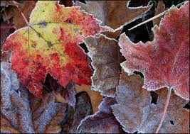 三、 特点与区别