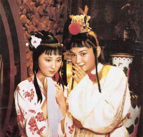 林黛玉的孤寂与宝玉的温暖