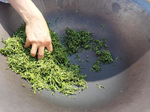 柴胡嫩卖多少钱？小心那些流动摊贩