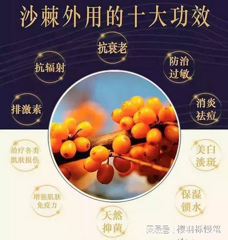 棘字的文化意义