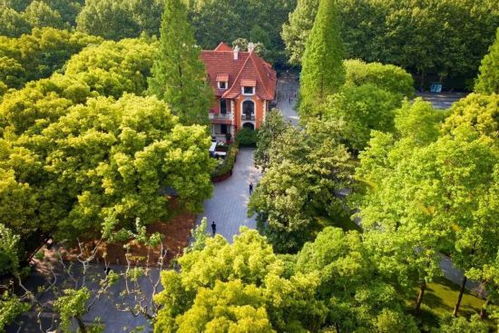 徐家汇源景区：商业与自然的完美融合