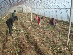 浸种催芽：别把种子泡坏了