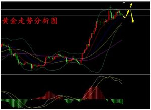 绿法师浇水频率：掌握黄金周期，养花无忧！