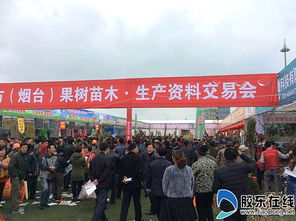 历届盛会， 绿意盎然