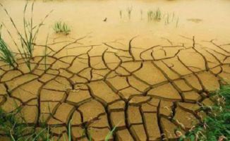 化学除草剂， 影响深