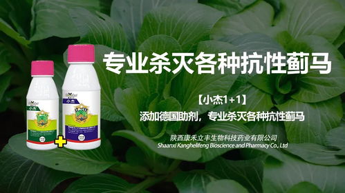 甲维盐打蓟马反弹怎么办？揭秘3类黄金助剂，省下60%药费！