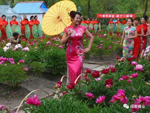 如何打造美丽的芍药花园？了解芍药花生长需要哪些条件