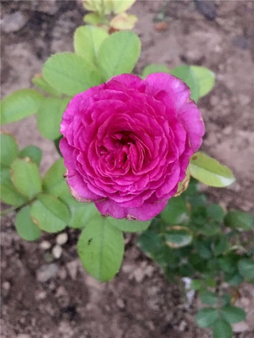 养护方法大揭秘