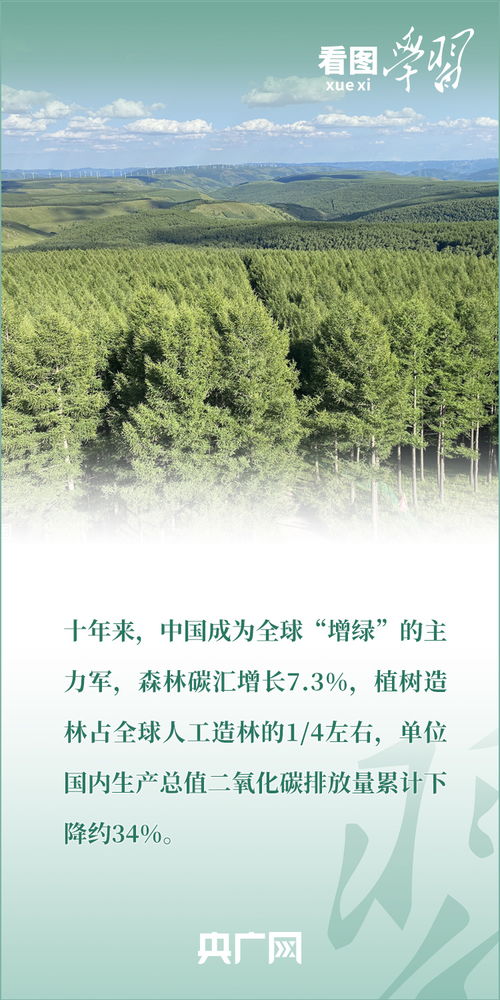 绿色希望：探索大自然宝藏