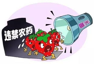 违禁农药罚款，你了解多少？