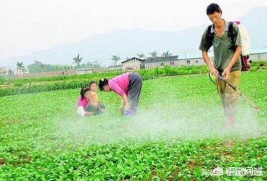 悄悄加药， 损失可大可小