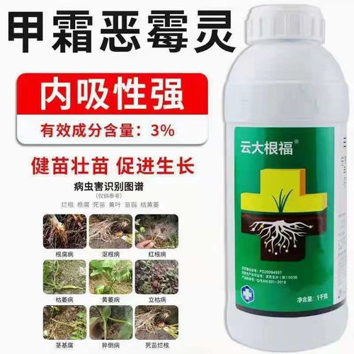 己唑醇防治什么病