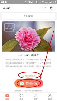 我的花草识别神器