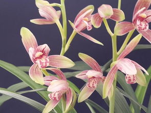 天然管理， 方便又简单