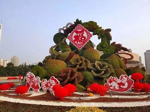 凤凰木：丹凤朝阳