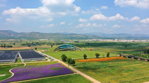 高原风电场，草种选择要讲究
