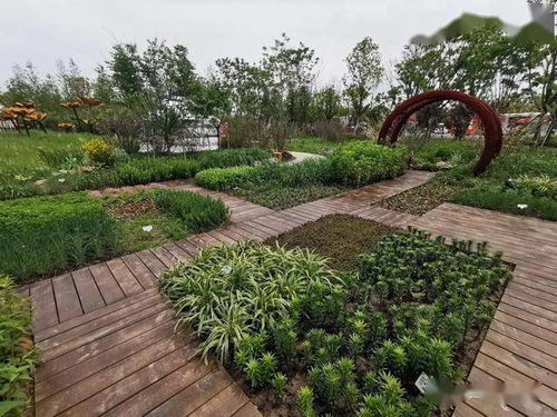 草原花草的另类价值