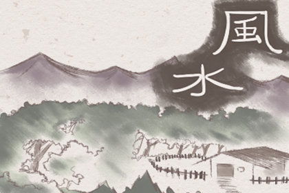 种什么树风水好？桂花树寓意好又好养