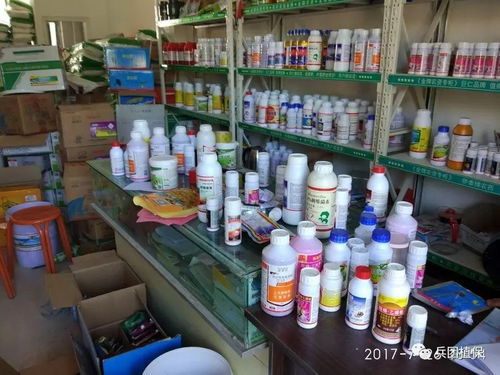 家庭室内防治跳蚤， 樟脑丸有奇效